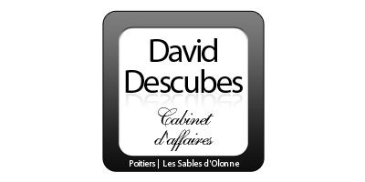CABINET D'AFFAIRES DAVID DESCUBES